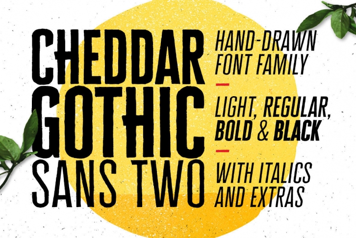 Cheddar Gothic Sans Two Font Font Download