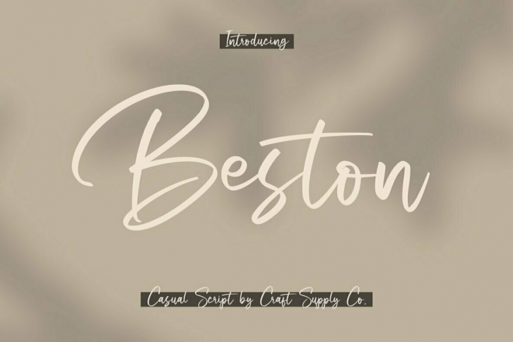 Beston Font Font Download