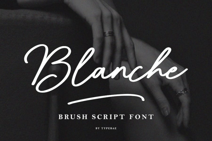 Blanche - Brush Script Font Font Download