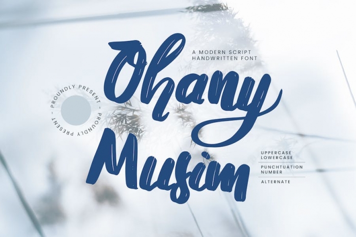 Ohany Musim - Brush Script Handwritten Font Font Download