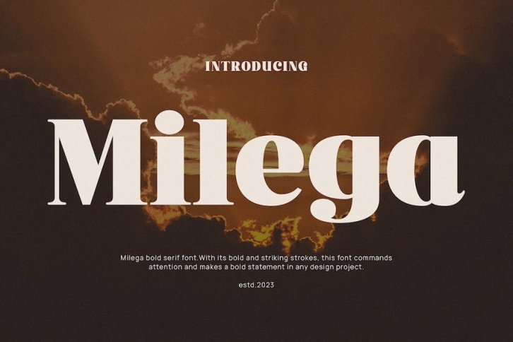 Milega - Stylish Bold Serif Font Download