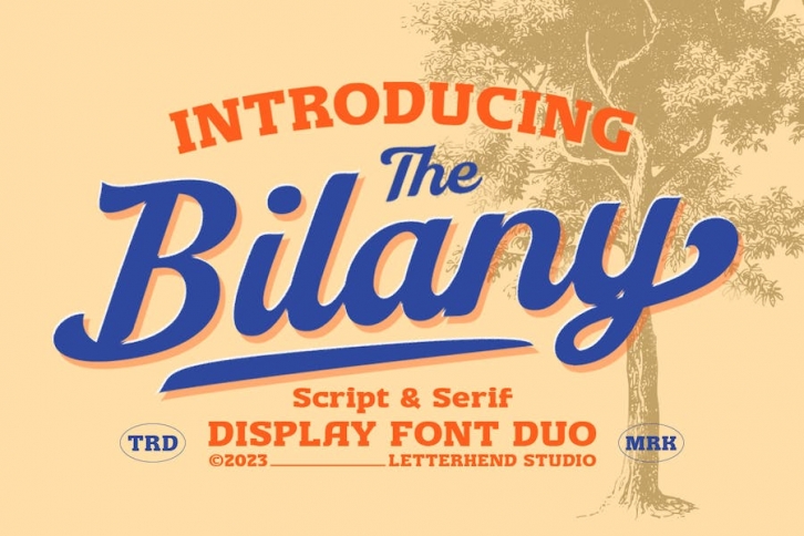 The Bilany Font Download