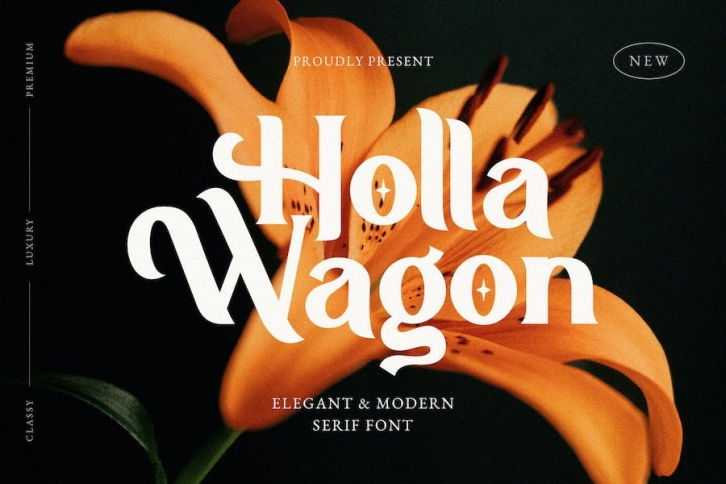 Holla Wagon - Elegant Stylish Serif Font Download
