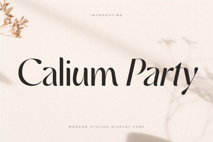 Calium Party - Royal Luxury Cinematic Font Font Download