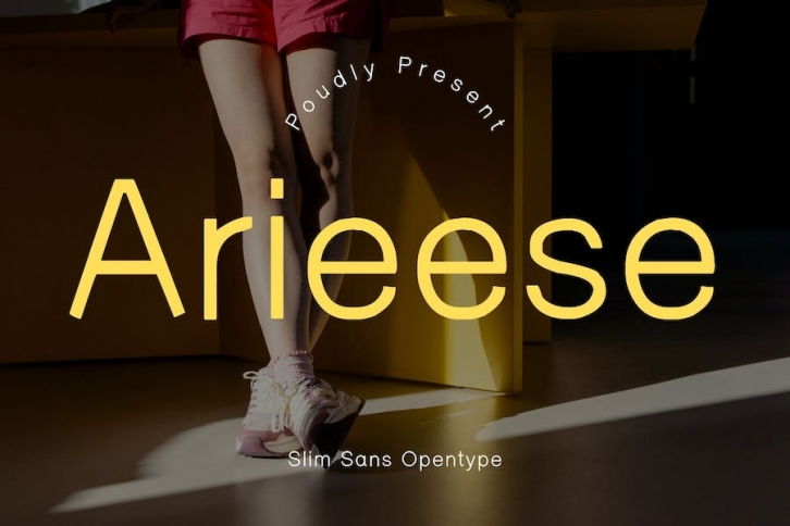 Arieese Modern Sans Typeface Font Download