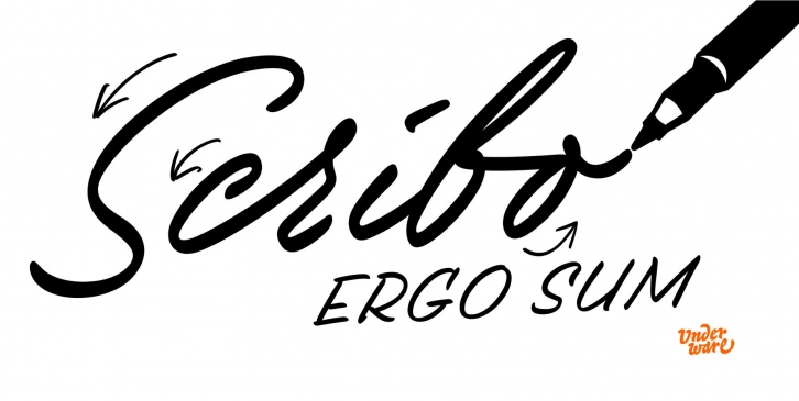 Scribo Font Font Download