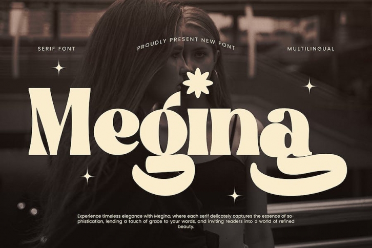 Megina - Serif Font Font Download