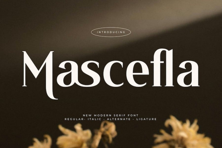 Mascefla New Modern Serif Font Font Download