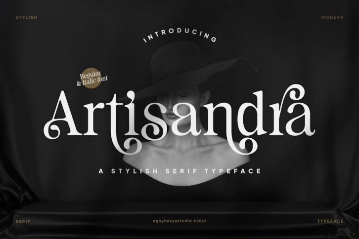 Artisandra - A Display Serif Font Download