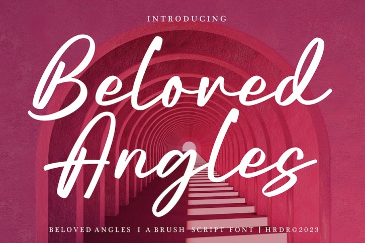 Beloved Angles - Brush Script Font Font Download