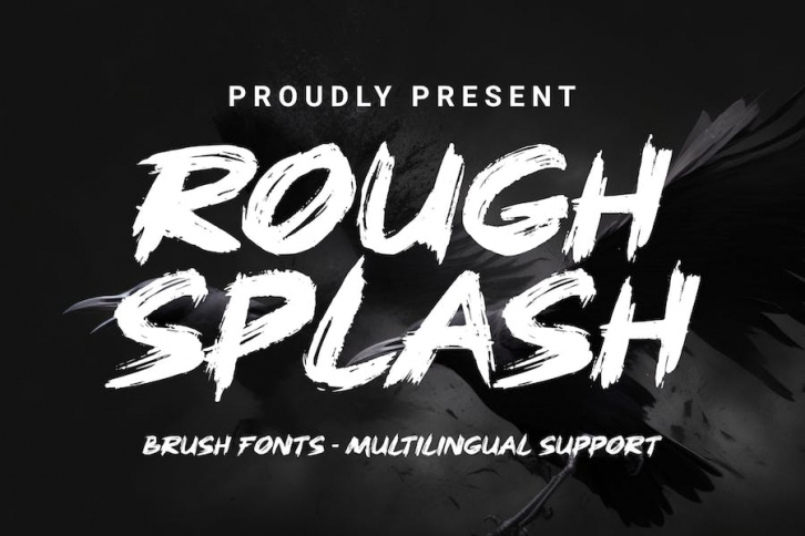 Rough Splash - Brush Font Font Download