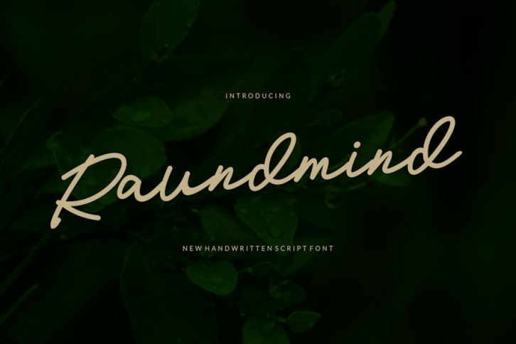 Raundmind Font Font Download