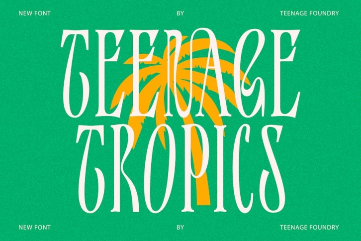 Teenage Tropics Vintage Serif Typeface Font Download