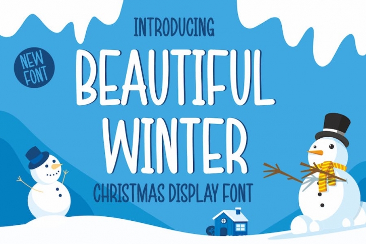 Beautiful Winter - Christmas Display Font Font Download