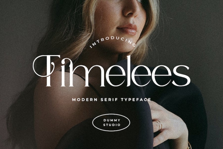 Timeless Modern Serif Font Font Download