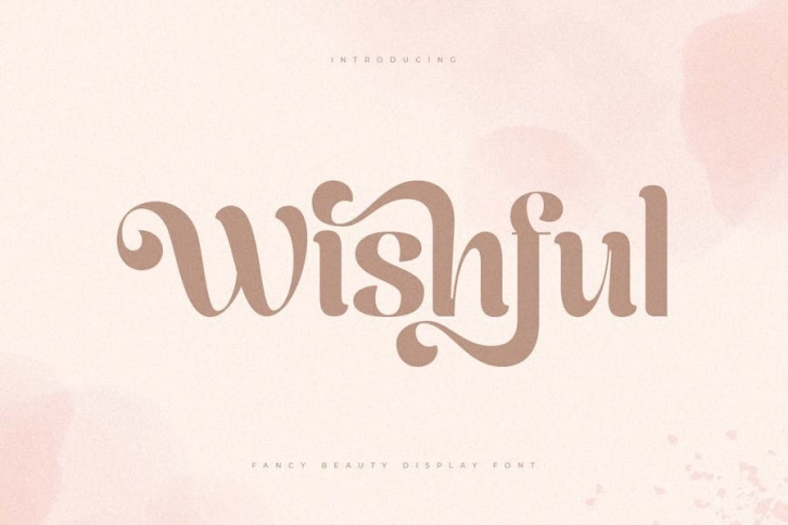 Wishfull - Fancy Beauty Display Font Font Download