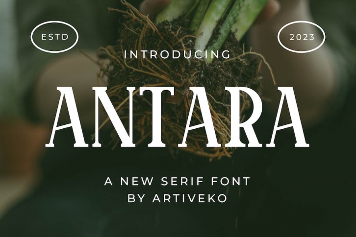 Antara - Serif Display Font Font Download