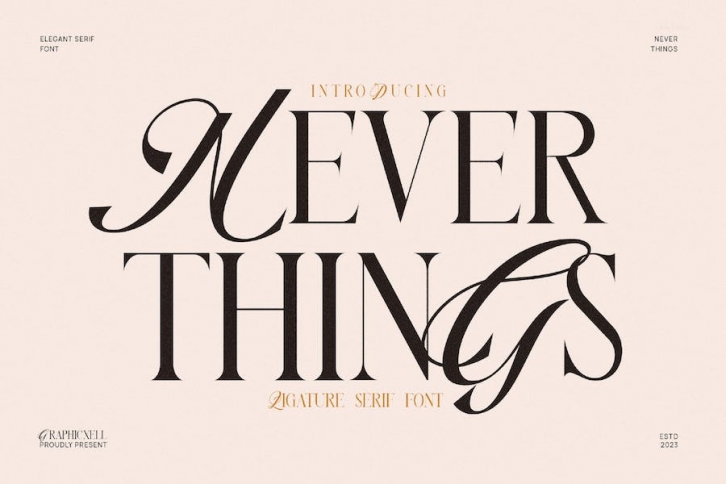 Never Things Elegant & Premium Serif Font Download