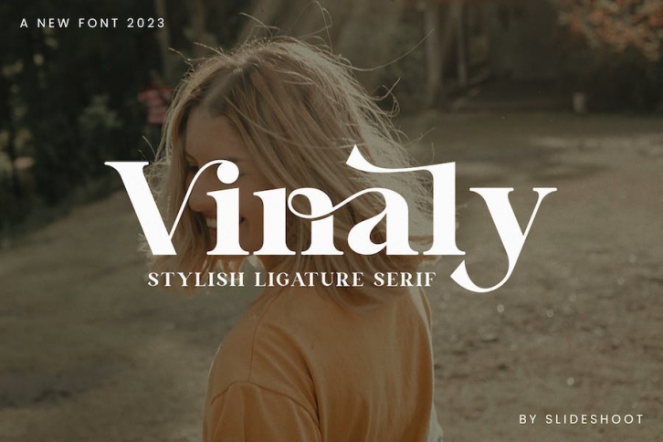 Vinaly Serif Font Font Download