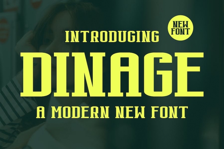 Dinage - A Modern Font Font Download