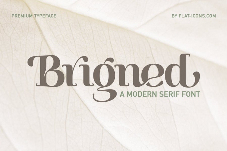 Modern Serif Font Font Download