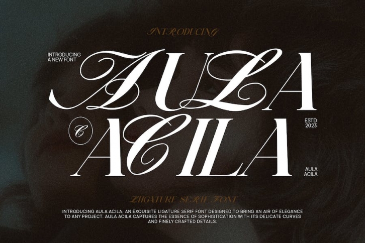 Aula Acila Elegant & Premium Serif Font Download