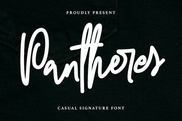 Pantheres Casual Signature Font Font Download