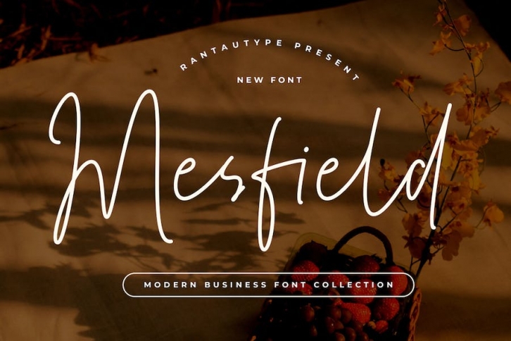 Mesfield Handwritten Font Font Download