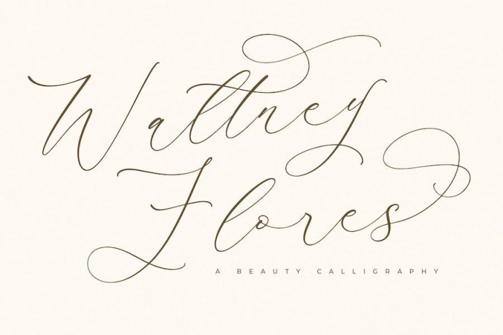 Waltney Flores Modern Calligraphy Font Font Download