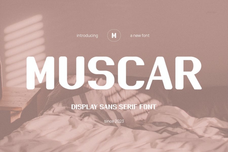 Muscar - Modern Sans Serif Font Download