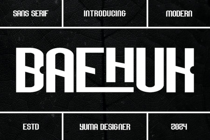 Baehuk - A Modern Font Font Download