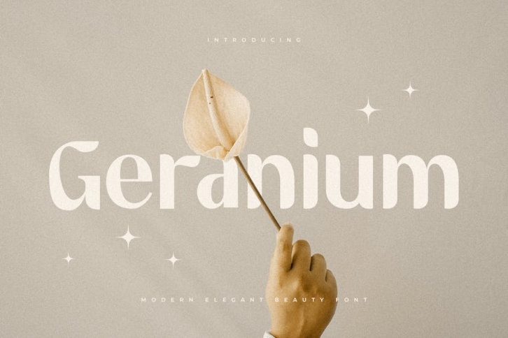 Geranium - Modern Elegant Beauty Font Font Download