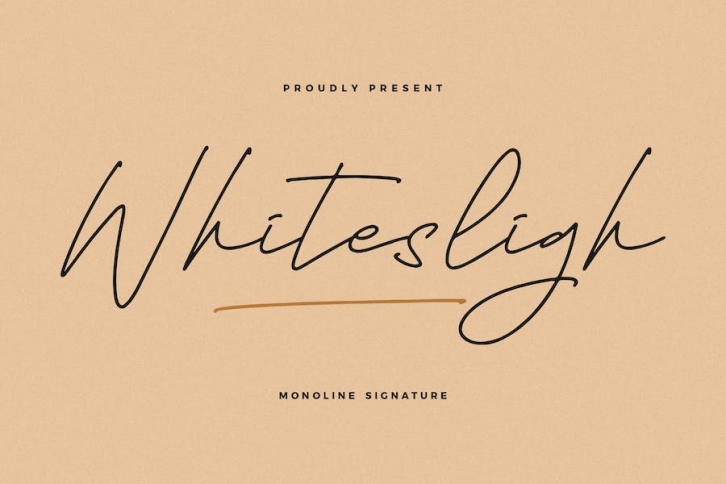 Whitesligh Monoline Signature Font Font Download