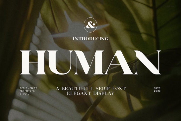 Human Elegant Serif Font Typeface Font Download