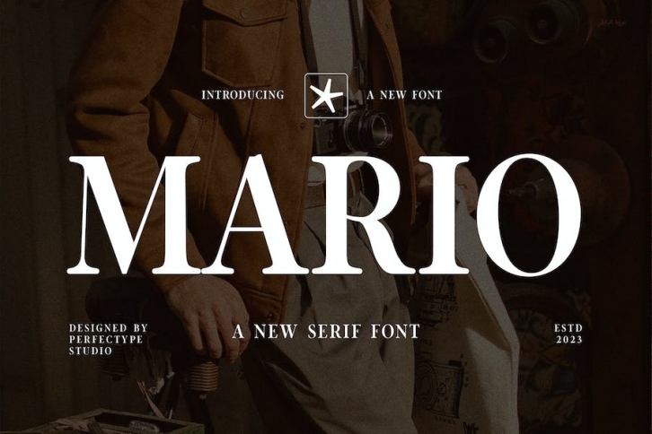 Mario Elegant Serif Font Typeface Font Download