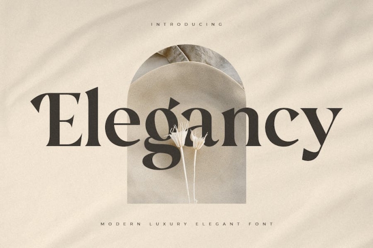 Elegancy - Modern Luxury Elegant Font Font Download