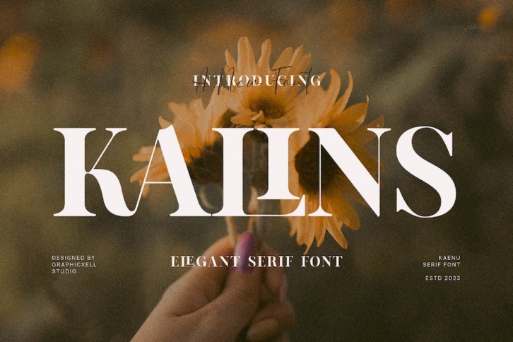 Kalins Elegant Serif Font Typeface Font Download