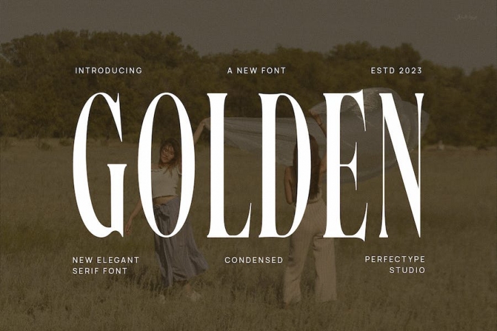 Golden Elegant Serif Font Typeface Font Download