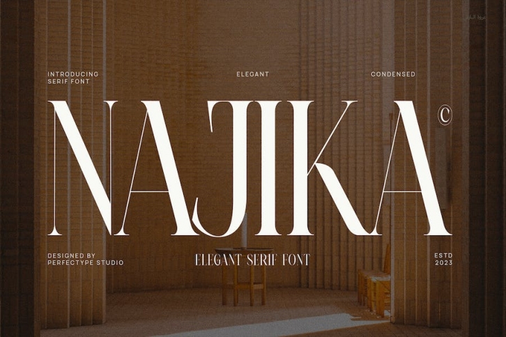 Najika Elegant Serif Font Typeface Font Download