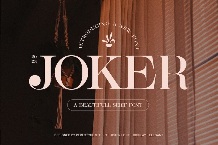 Joker Elegant Serif Font Typeface Font Download