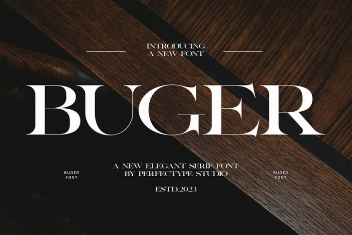 Buger Elegant Serif Font Typeface Font Download