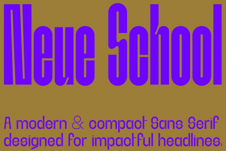 Neue School Font Font Download
