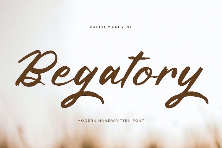 Begatory Modern Handwritten Font Font Download
