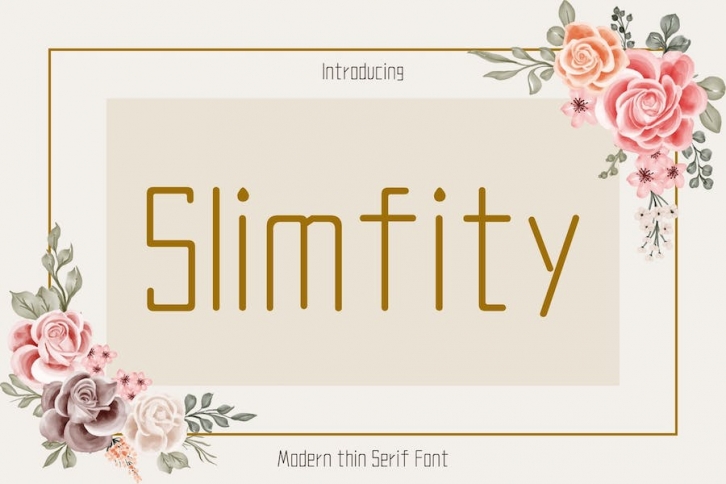 Modern Thin Sans Serif Display Font Font Download