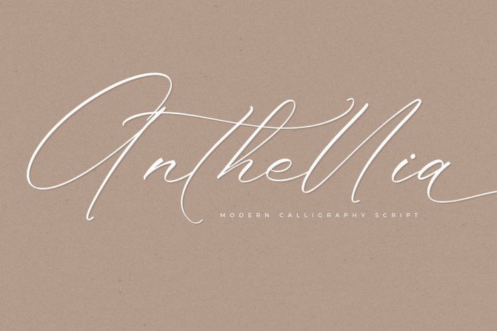 Anthellia Modern Calligraphy Script Font Font Download