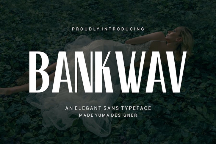 Bankwav - Elegant Sans Serif Font Font Download