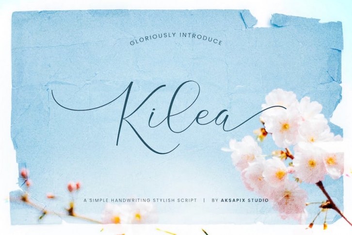 Kilea - Elegant Script Font Font Download