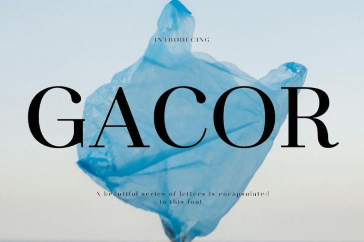Gacor Modern Serif Font Font Download