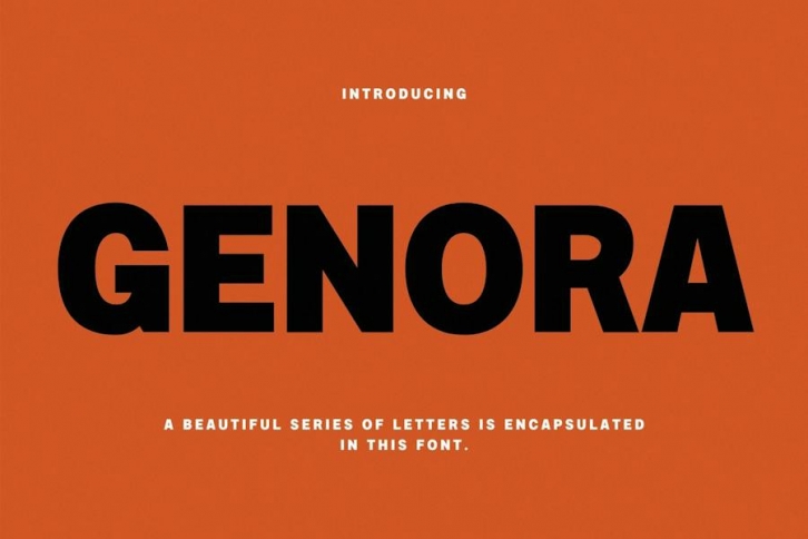 Genora Modern Sans Font Font Download