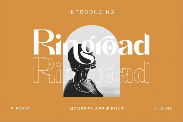 Ringroad Serif Font Font Download